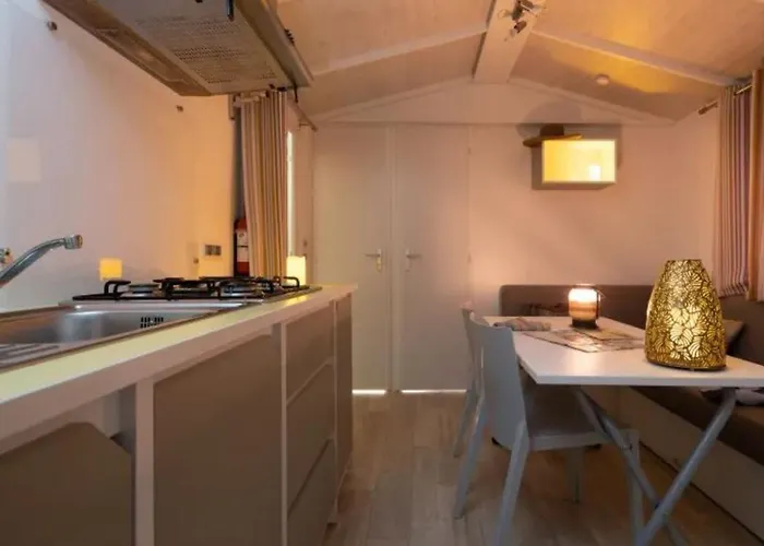 营地 Mobil-home 4 Pers Avec Terrasse - Api-1-52-1607 *